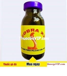 cobra XT
