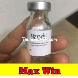 Thuốc chích gà đá Maxwin
