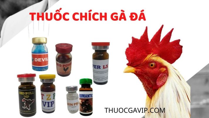 những dòng thuốc chích gà đá